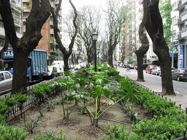 CANTERO PIGUE